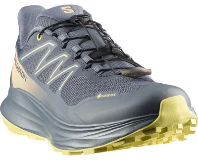 Produktbild von SALOMON SHOES ALPHARIDE 2 GTX W Dark S/Stormw/Su 000 000 40.5