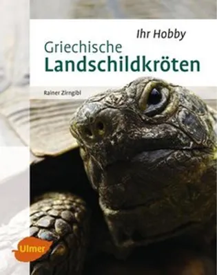 Produktbild von Griechische Landschildkröten