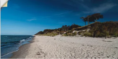 Produktbild von ARTland Wandbild, selbstklebend Am Weststrand- Ostsee - Darss Größe: 150x75 cm