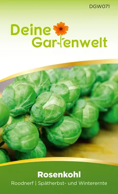 Produktbild von Rosenkohl Roodnerf Samen - Brassica oleracea - Rosenkohlsamen - Gemüsesamen - Saatgut für 80 Pflanzen
