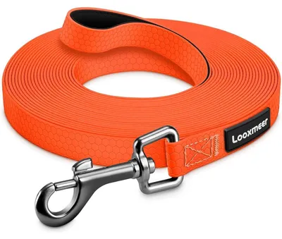 Produktbild von Schleppleine für Hunde, wasserdicht, reißfest, 3-30m, Neon Orange