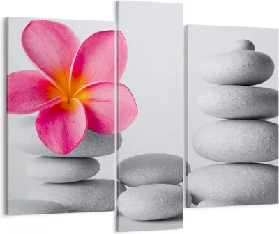 Produktbild von Bild auf Leinwand - Leinwandbild - Spa buddhismus ruhig blume - 95x80cm - Wand Bild - Wanddeko - Leinwanddruck - Bilder - Kunstdruck - Wanddekoration - Leinwand bilder - Wandkunst - CB95x80-2304