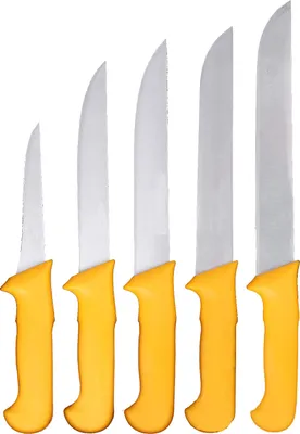 Produktbild von HOOZ Fleischmesser 5er Set aus Edelstahl