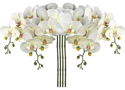 Obrázek produktu pro Umělá orchidej Phalaenopsis, větev s 9 květy, barva béžová, 4 kusy