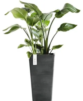 Produktbild von Pflanzvase Ecopots Rotterdam Kunststoff matt 31 x 31 x 56 cm dunkelgrau