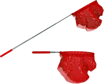 Produktbild von Ausziehbarer Kescher mit Teleskopstab 86cm Teleskop-Stab - rot