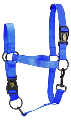 Productafbeelding van Uitstekende "Horse Essential" halster, blauw, maat: S