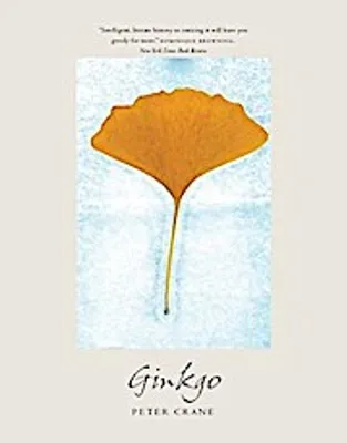 Produktbild von Ginkgo