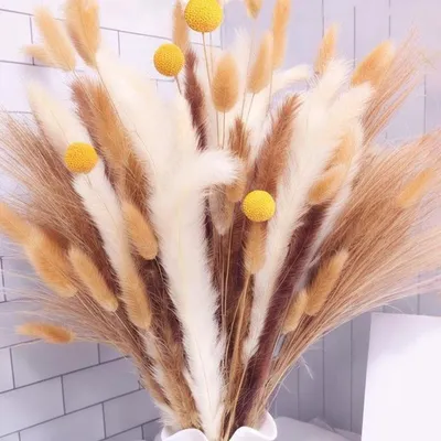 Pampasgras Trockenblumen Set von 100 Stück für Hochzeit, Boho Interieur und Vasen Dekoration