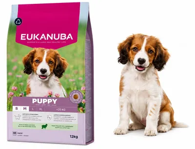 Imagen del producto de EUKANUBA, alimento seco premium para cachorros de razas pequeñas y medianas, con cordero y arroz - 12 kg