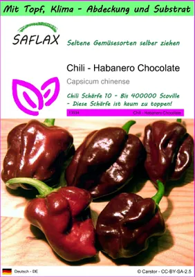 Produktbild von SAFLAX Garden to go - Chili - Habanero Chocolate - Capsicum chinense - 10 Samen - Mit Topf, Klima - Deckel und Anzuchtsubstrat