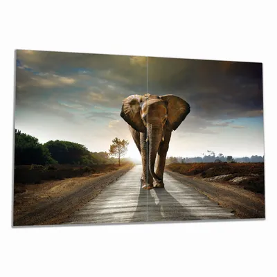 Produktbild von Wallario Herdabdeckplatte aus Glas, Größe 80 x 52 cm 2-teilig, Motiv Elefant bei Sonnenaufgang in Afrika