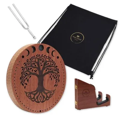 Immagine prodotto di Meinl Sonic Energy Rain Disk da 10 pollici con diapason