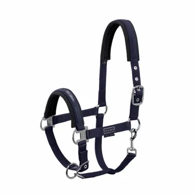 Produktbild von Eskadron Halfter Double Pin BUCKLE, mit Schriftzug, Dornschnalle Farbe - navy Größe - Pony2