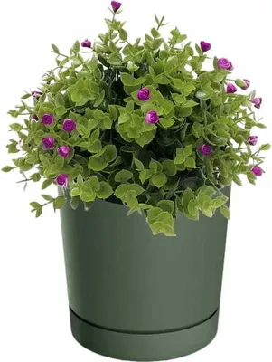 Obrázek produktu pro Prosperplast s.r.o. Květináč TUBO P 19,9 cm, zelená