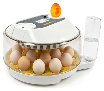 Brutmaschine 18 Eier, vollautomatisch, Inkubator mit Wasserzufuhr