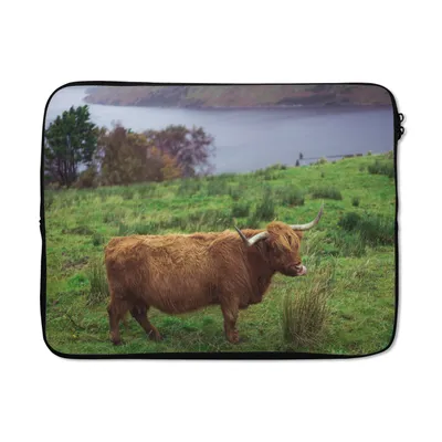 Produktbild von MuchoWow® Laptop Hülle 17 Zoll Laptoptasche Schottische Highlander - Gras - Wasser - Tiere - Zipper - Schutzabdeckung