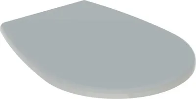 A toilet seat with a lid, shown from a slightly elevated angle.