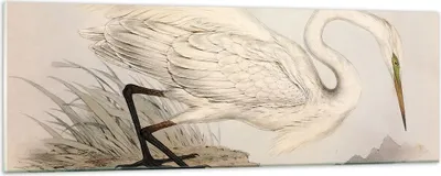 Produktbild von Bilder auf glas - Einteilig - Vogel Weiß Reiher - 90x30cm - Glasbilder - Wandbilder - Bilder - zum Aufhängen bereit - Wanddekoration aus Glas - Glas Bilder - Wandbild auf Glas - GAB90x30-4979