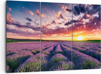 Produktbild von Bild auf Leinwand - Leinwandbild - Lavendel Berge Feld - 105x70cm - Wand Bild - Wanddeko - Leinwanddruck - Bilder - Kunstdruck - Wanddekoration - Leinwand bilder - Wandkunst - CE105x70-3816