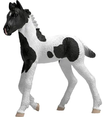 Immagine prodotto di Schleich HORSE CLUB 81481, 4 anni, Multicolore, Plastica