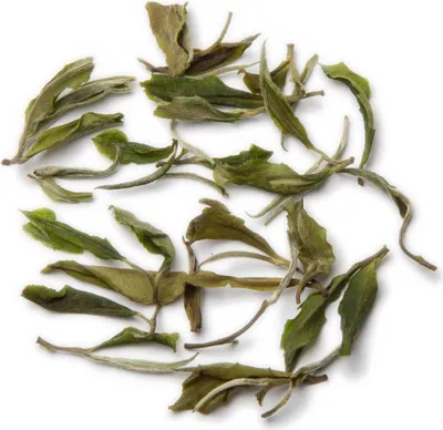 Produktbild von White Magic, Darjeeling Weißer Tee, 25g