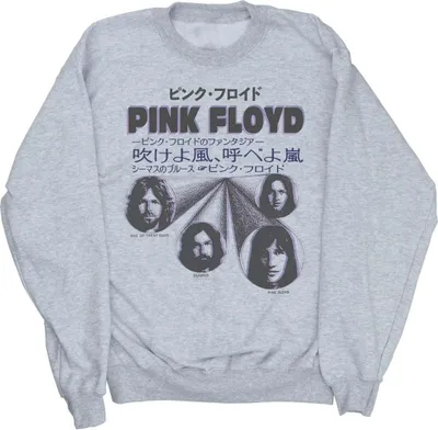 Produktbild von Pink Floyd - Sweatshirt für Herren BI49293 (3XL) (Grau)