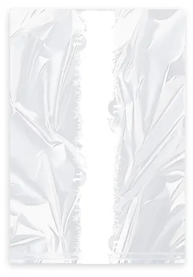 Produktbild von 2000x Gefrierbeutel mit Verschlussclips 'M' 200 x 300 mm 2 Liter LDPE