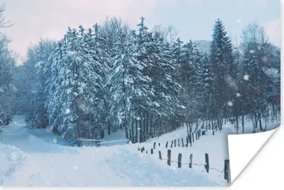 Produktbild von MuchoWow® Poster Wald - Schnee - Winter 180x120 cm - Fotoplakat