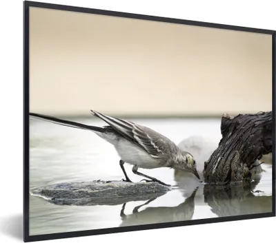 Produktbild von MuchoWow® MuchoWow® Gerahmtes Poster Vogel - Stein - Wasser - Getränk 40x30 cm - Poster mit zchwarzem Bilderrahmen - Kunstposter - Wanddekorationen
