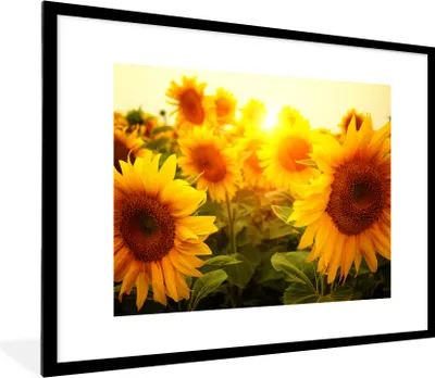 Produktbild von MuchoWow® Gerahmtes Poster Sonnenblume - Gelb - Blumen - Sonne 80x60 cm - Poster mit Schwarzem Bilderrahmen Wandposter Rahmen Foto Bilder - Schlafzimmer-Dekorationen - Fotoposter