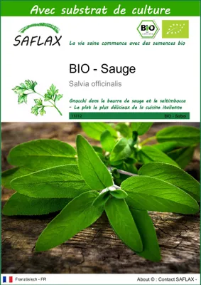 Image de SAFLAX  -- Sauge - 60 graines - Avec substrat - Salvia