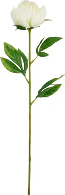 Produktbild von Mica Decorations Kunstpflanze Peonie weiß 60 cm