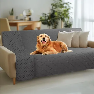 Image de Couverture imperméable pour chiens, couleur grise