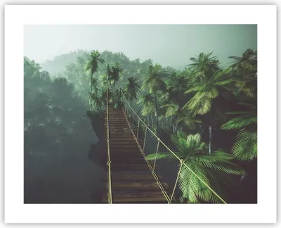 Produktbild von Poster - Poster ohne Rahmen - Dschungel Palme Brücke - 50x40 cm - Wand Bild - Wanddeko - Wandbilder - Kunstposter - Wandposter - Bilder - Kunstdruck - Wanddekoration - Wandbild - P2XAA50x40-3674