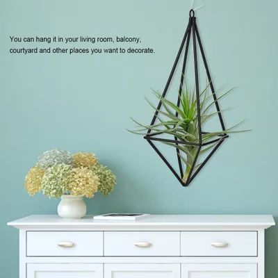 Produktbild von Pflanzenhalter, Pflanzenhalter Ständer, Halter für Hängepflanzen, Halter für Luftpflanzen, Tillandsia Rack