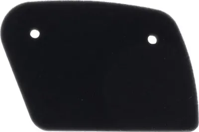 Immagine prodotto di Filtro aria ATHENA - S410010200006