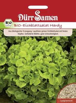 Artikelbild 1 von 'BIO Eichblattsalat Hardy' aus der Kategorie Eichblattsalatsamen