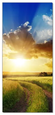 Produktbild von Wallario selbstklebende Türtapete 93 x 205 cm mit Schutzlaminat - Feldweg in den Sonnenuntergang