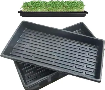 Produktbild von Famanu Anzuchttrays ohne Drainagelöcher - 54 x 28 x 6 cm - ideal für die Anzucht von Pflanzen