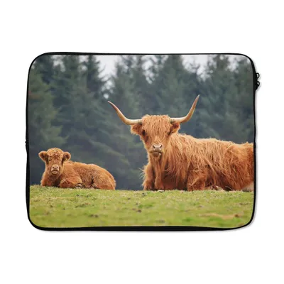 Produktbild von MuchoWow® Laptop Hülle 15 Zoll Schottische Highlander - Gras - Wald Laptoptasche - Laptoptasche - Sleeve - Rundum-Schutz