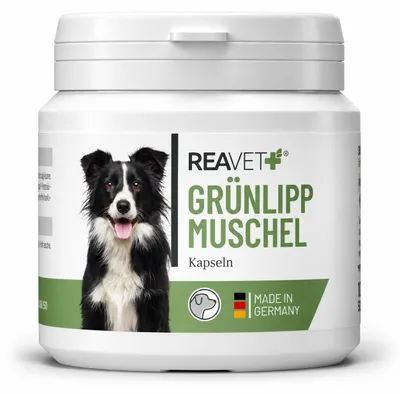 Produktbild von REAVET Grünlippmuschel Kapseln 100 Stück Hund hochdosiert - Gelenktabletten für Hunde mit Grünlippmuschelpulver Grünlippmuschelextrakt für Gelenke
