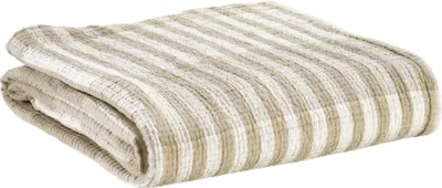 Produktbild von Calista Plaid kieselsteingrau 137 x 180 cm Vivaraise