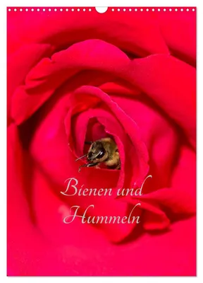 Produktbild von Bienen und Hummeln (Wandkalender 2027 DIN A3 hoch), CALVENDO Monatskalender