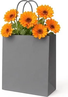 Obrázok produktu pre Papierová taška 180 x 80 x 225 mm, sivá, malá darčeková taška na doplnky