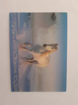 Produktbild von 3 D Ansichtskarte Pferd im Schnee, Postkarte Wackelkarte Hologrammkarte Tiere Pony