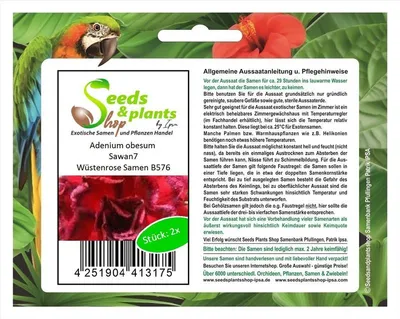Zdjęcie produktu dla 2x Adenium obesum Sawan 7 Rośliny ogrodowe róży pustynnej - Nasiona B576
