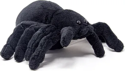 Image de Cornelissen - Doudou - Araignée Tarentule - noir profond - 20 cm