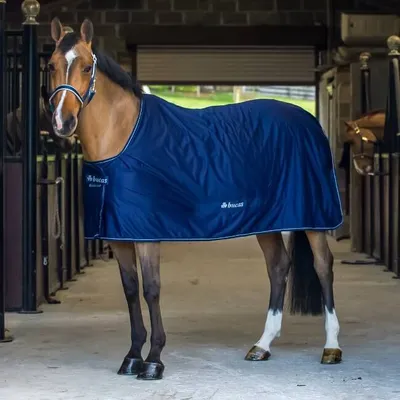 Produktbild von Bucas Multifunktionsdecke Shamrock Power Navy/Silver 100