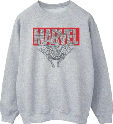 Produktbild von Marvel - Sweatshirt für Herren BI44768 (XL) (Grau)